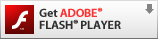 download free Adobe Flash Player